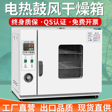 電熱恆溫鼓風干燥箱高溫加熱小型工業烤箱醫用烘干機實驗室烘箱