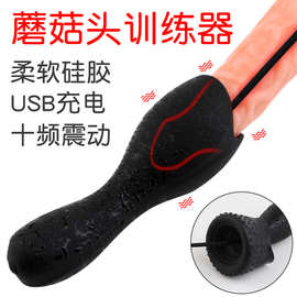 骑士男用硅胶震动马眼棒阴茎刺激自慰器尿道堵扩张器成人情趣玩具