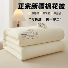 新疆棉花被加厚被子被芯学生宿舍冬被双人春秋被鱼鳞网套被褥棉絮