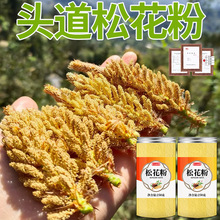 松花粉正品500g旗舰店长白山头道马尾松天然野生破壁婴儿正品外用