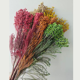 ������ɺ�����yɺ��ins�Lֲ��ɻ�ɺ�����^�Ҿ��b��Ļ���diy