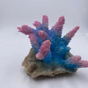 �羳��֬�b��B�Ǳ��~���쾰��ܘ�֬��ˇƷС�ű��쾰�[������