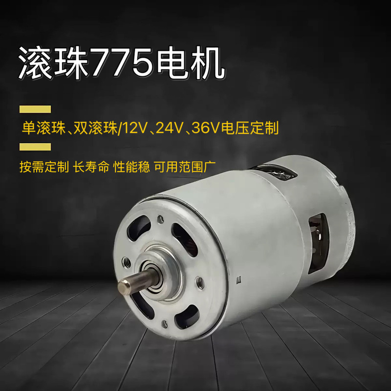 Rs775 Dc Motor 12V24V Customized Single and Double Ball Micro Deceleration Garden Tool Water Pump All Copper Motor