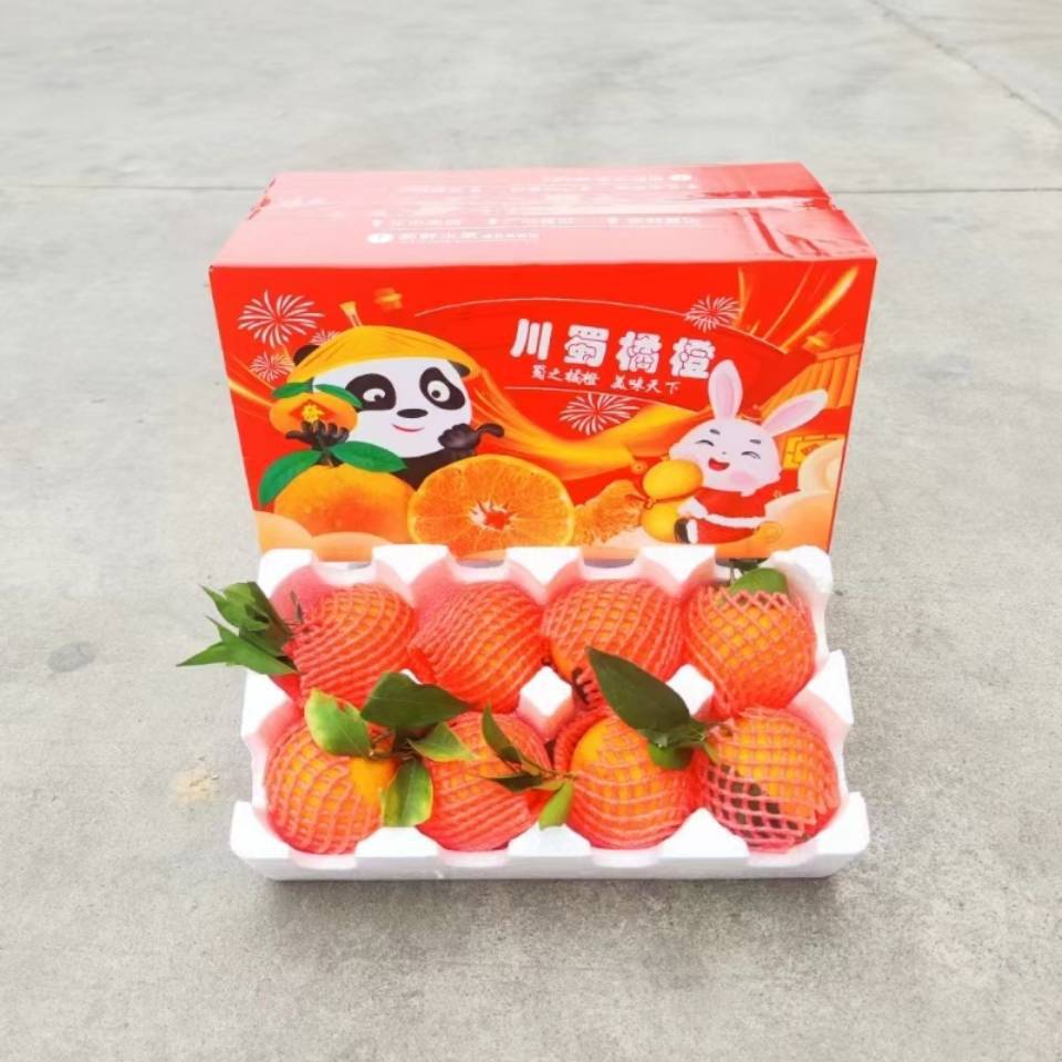 微信图片_20250927150757_72_8