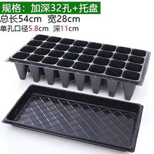 育苗穴盘家庭种植神器套装营养钵蔬菜多肉育种扦插盒农用托盘