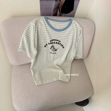 2026�ļ����˗l�yt��Ů���s�ٴ��¿�A�I����