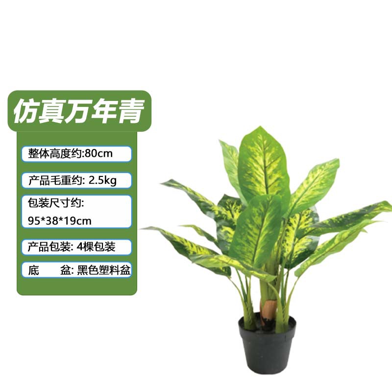 Simulación Evergreen Planta verde en maceta Oficina Sala de estar Decoración del hogar Varilla de plástico Simulación artificial Evergreen maceta