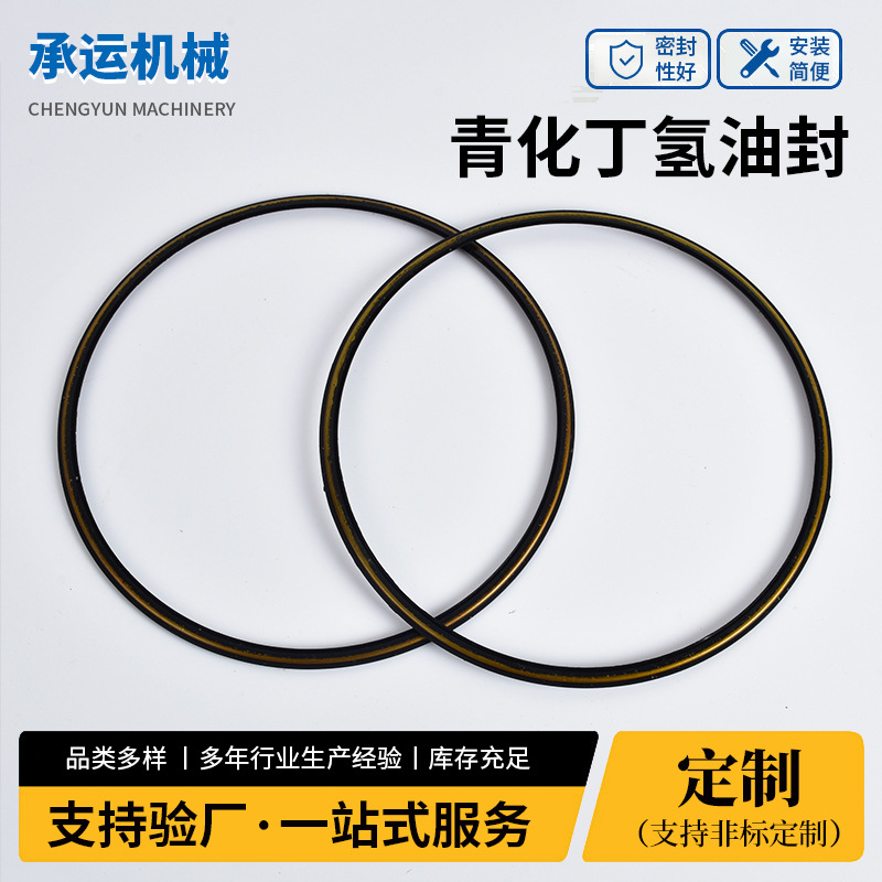 厂家批发青化丁氢油封 聚四氟乙烯孔用油封石油行业轴承配件