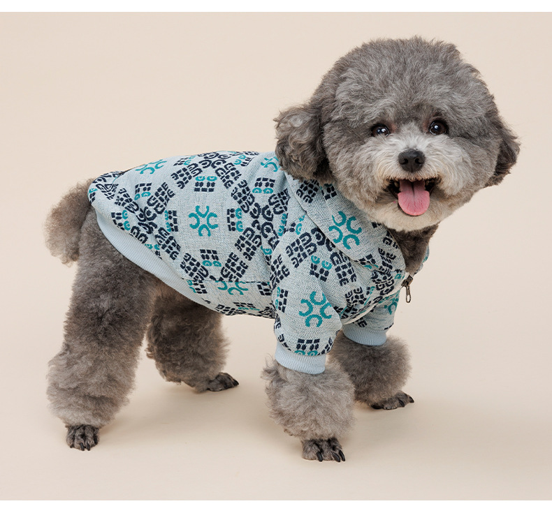 Teddy Dog Pattern Print Pet Clothes Image 5
