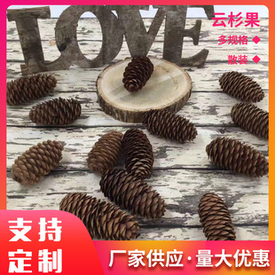 �}�Q���b��ɹ����ľ�|�~�[�ɹ��ɹ����~���ɹ��ɼ�ɹ������ɹ�