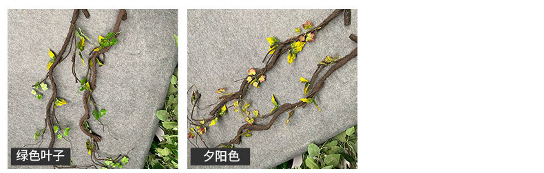 产品颜色.jpg
