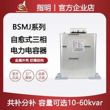 ָ�����F����ʽ�K��������BSMJ0.45-20-3�͉����������450V