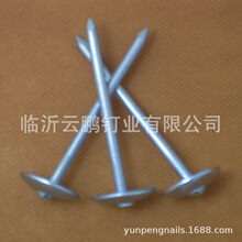 ��\������黨�U��U���ˮ�|Ƭ ��NҎ��50-120�L �S��ֱ�N