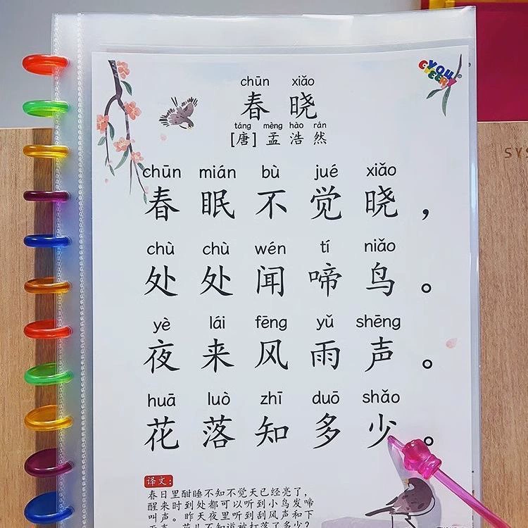 Говорящая книга стихов крупные иероглифы 118 стихов