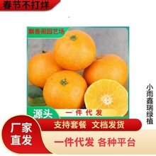 �t���˘���޽Ӑ���28̖������ɰ����38̖���Ә���ͥԺ�̨���Ԙ�