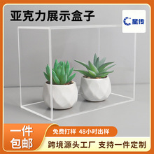 ����������͸��ˮ���бPճ�ӳ���չʾ�������ռ{�г�������