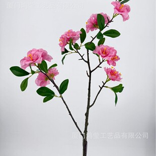 ���滨�L֦���Ȼ� �Ҿ��b�c���� ֲ��������Ȼ�