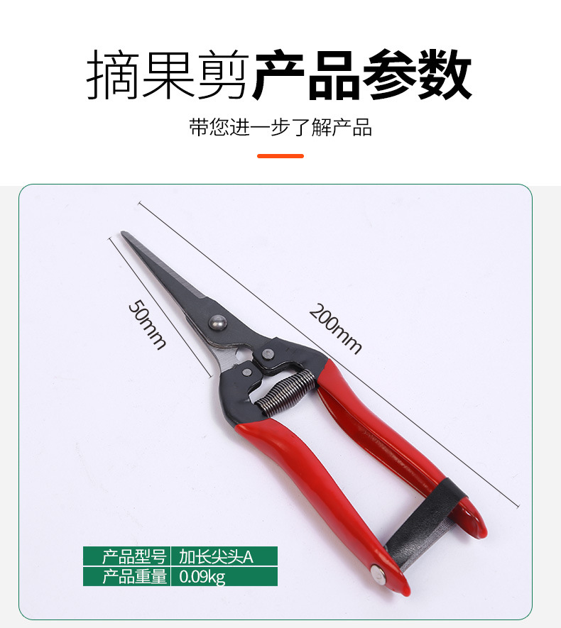 Winda tijeras de recolección de frutas de acero inoxidable cosecha de uvas tijeras de frutas raras tijeras de naranja níspero tijeras de poda de jardinería al por mayor