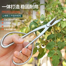 家用剪刀;修枝剪;厨用剪刀