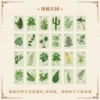 Green Plant Manor