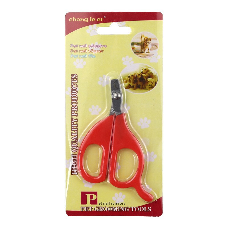 빨간 종이 카드