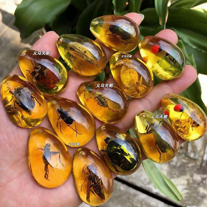 Amber Insect Fossil Archaeological Specimen Pendant Children's Toys Kindergarten Rewards Small Gifts Student Prizes Wholesale