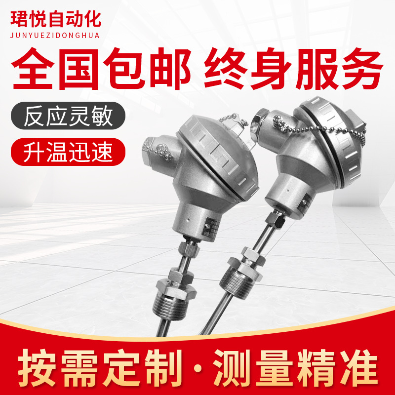 测温度仪表铠装热电阻多功能热电偶温度传感器变送器WZP2-220