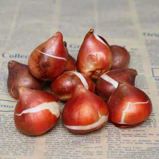 �M�����������N������ˮ�໨�N���ͺ�����Ŷ����������ٺ�