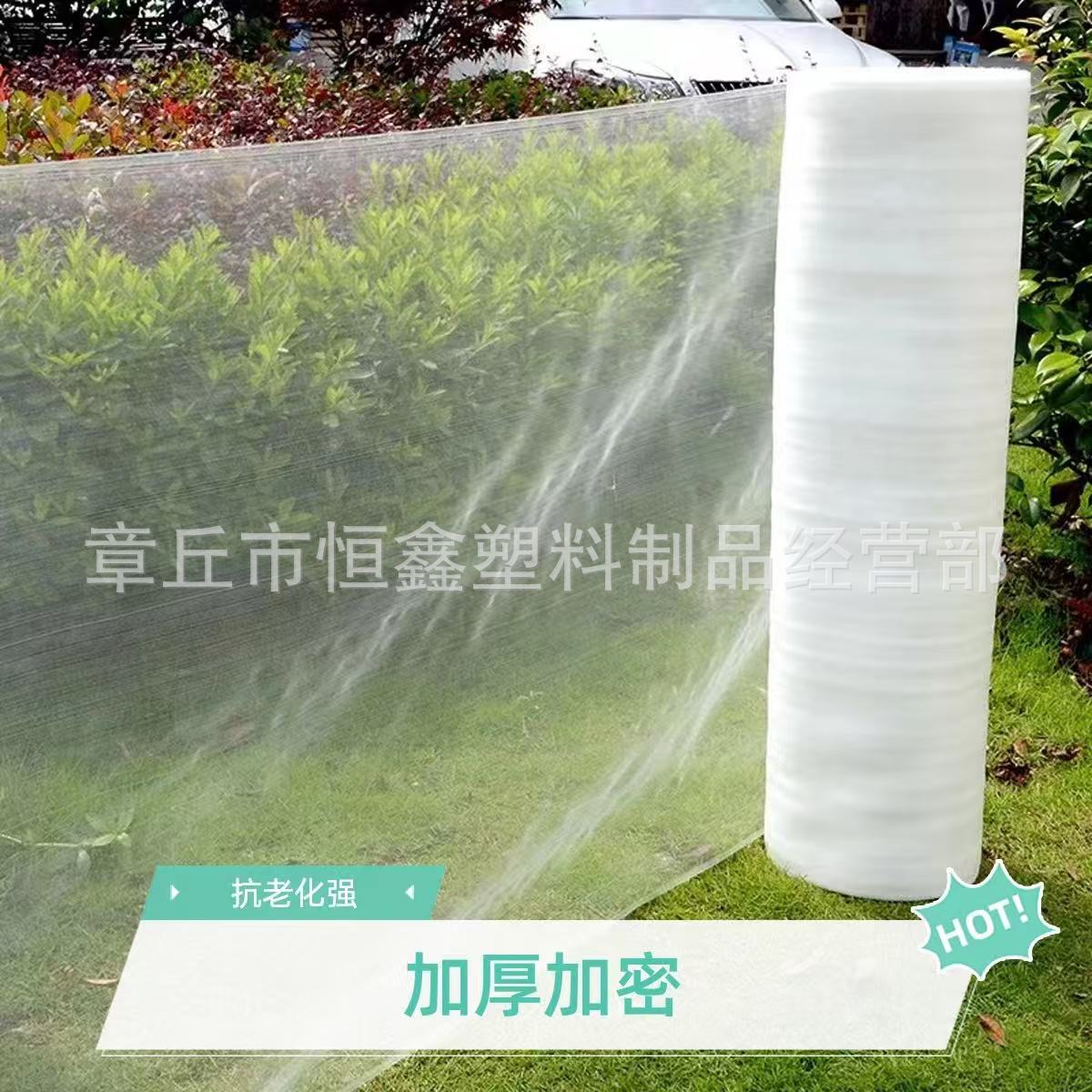 厂家直销专业生产60目加厚防虫网 大棚防虫网 养殖围网