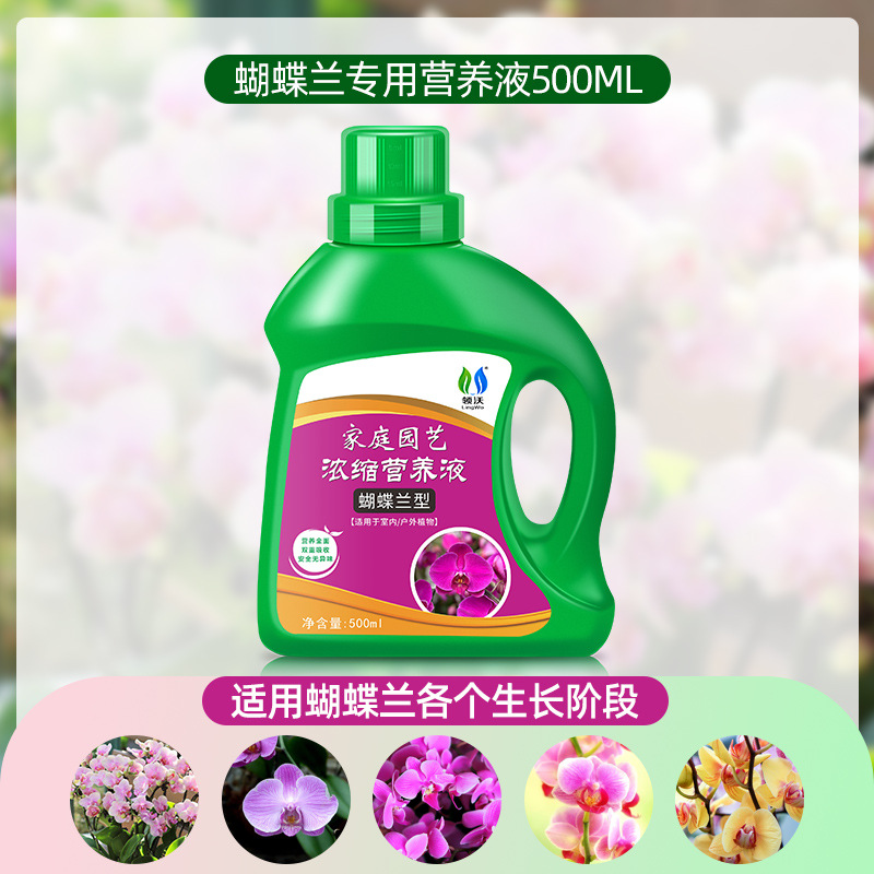 Phalaenopsis Nutrition Liquid 500ml * 1ขวด} [ส่งเสริมดอกไม้และใบไม้สีเขียว]