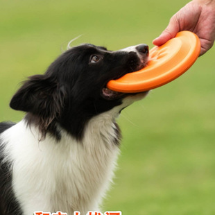 �w�P���w�P��ܛ��ҧ��Ӗ���κӹ����С��Ȯ����Ȯ����Ȯ