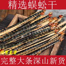 蜈蚣干中药材正宗红头蜈蚣完整大条药用泡酒14cm--17cm蜈蚣干磨粉