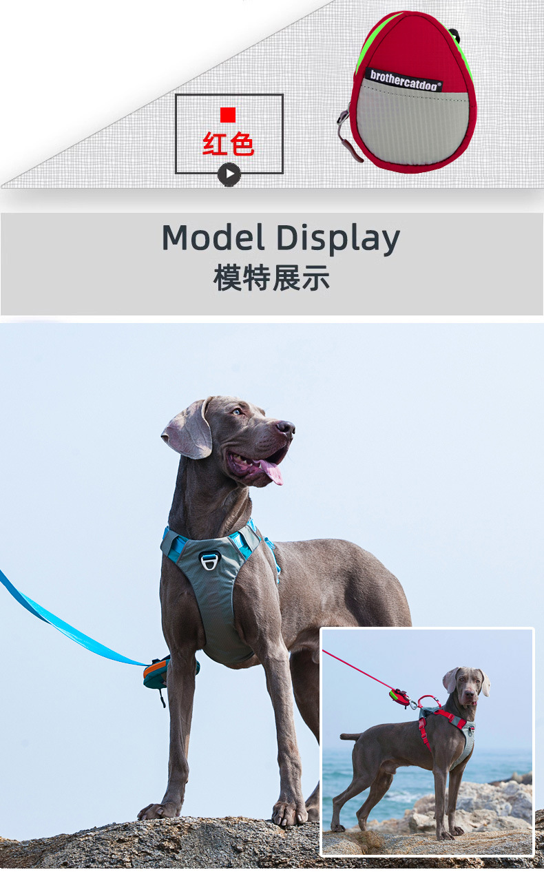 O1CN01oXNj311UpjZZ2NH0B_!!1001232567-0-cib.jpg?__r__=1692838713644