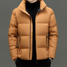 羽绒服男冬季新款中青年高端时尚休闲加厚立领白鸭绒保暖外套男潮