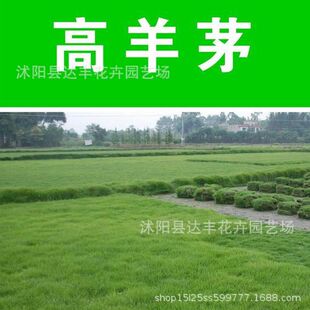 �ļ����R������Ľ���R����ƺ�N�Ӻ����ò��o�����G�����̌���