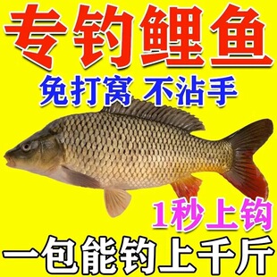 ����Ұ����~�D���ļ�����~���������~�ڿ�Ұ��~�D