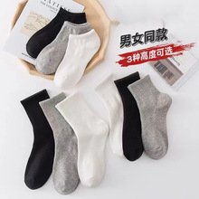 ���������п�̿��ļ����Ӵ����ﶬ͸���������˶�������