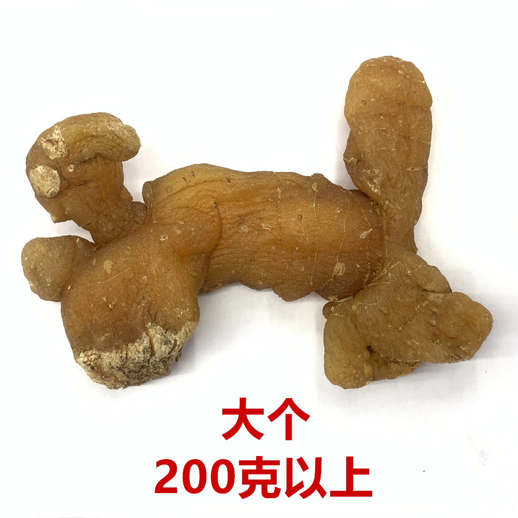 20220928184446_副本