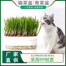 一件代发批发猫咪零食猫薄荷种植水培盒猫草盆水培猫草盒套装跨境