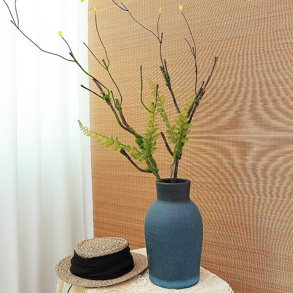 Pseudo -flowering green plant wall plant rattan branches and vine…