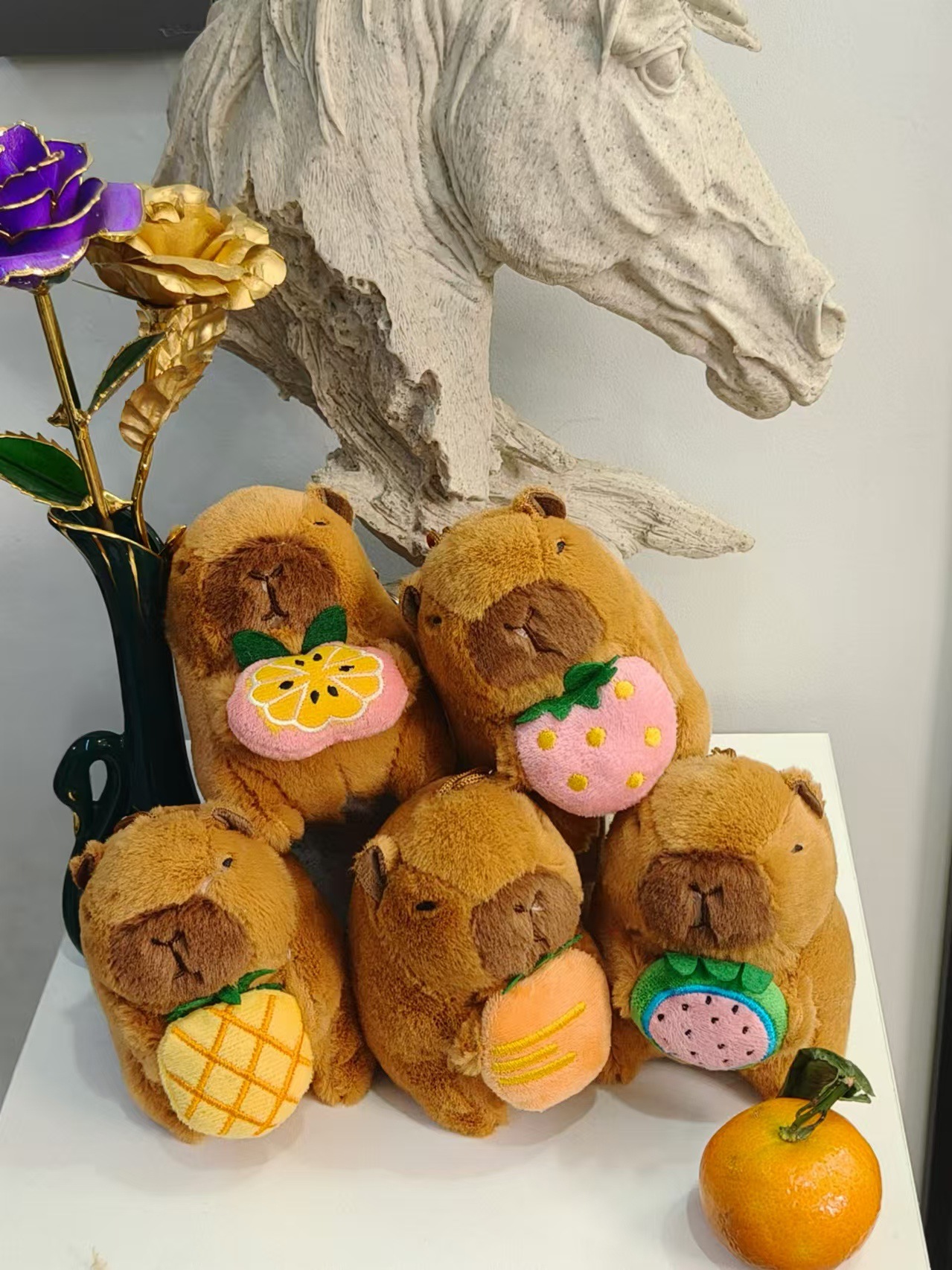 갈색 과일 시리즈 카피바라