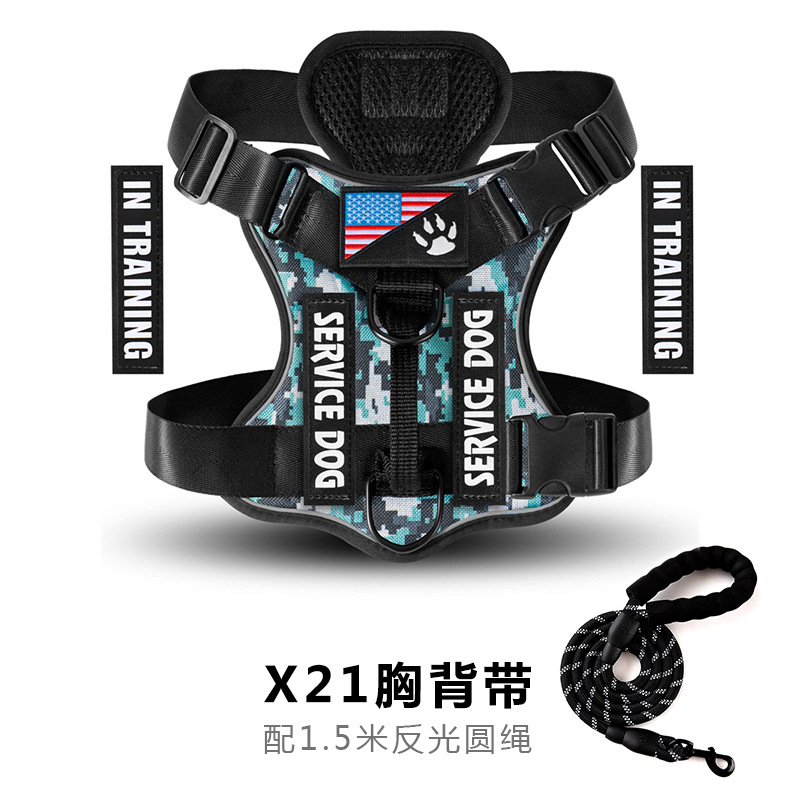 위장 블루 세트