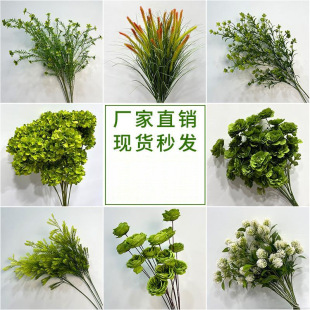 �Gɫϵ�Ż���c�ٷ��滨����Y�����滨������̨�b�ػ���c���ɭ
