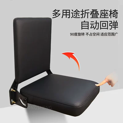 Chair Train Plus Seat, Other vehicle seats