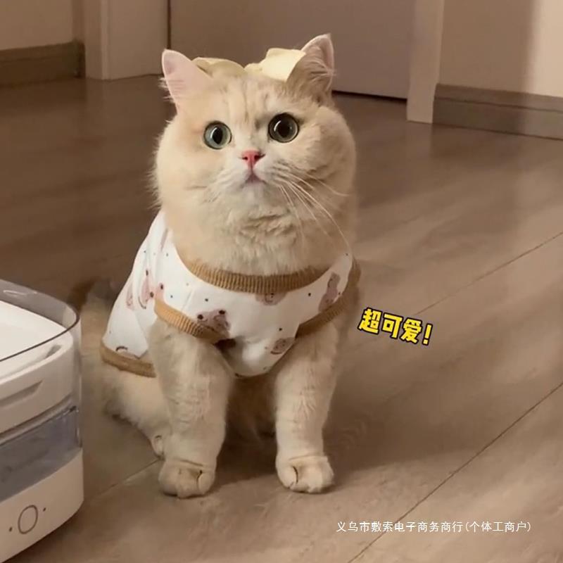 고양이 옷 흘리기 방지 봄과 가을 귀여운 인 골드 그라데이션 영국 짧은 봉제 인형 고양이 작은 강아지 조끼