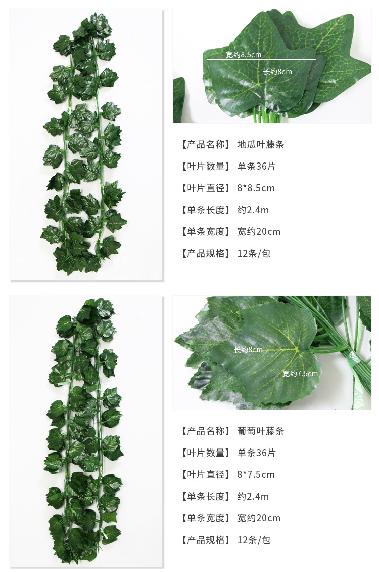 36叶藤条_10.jpg