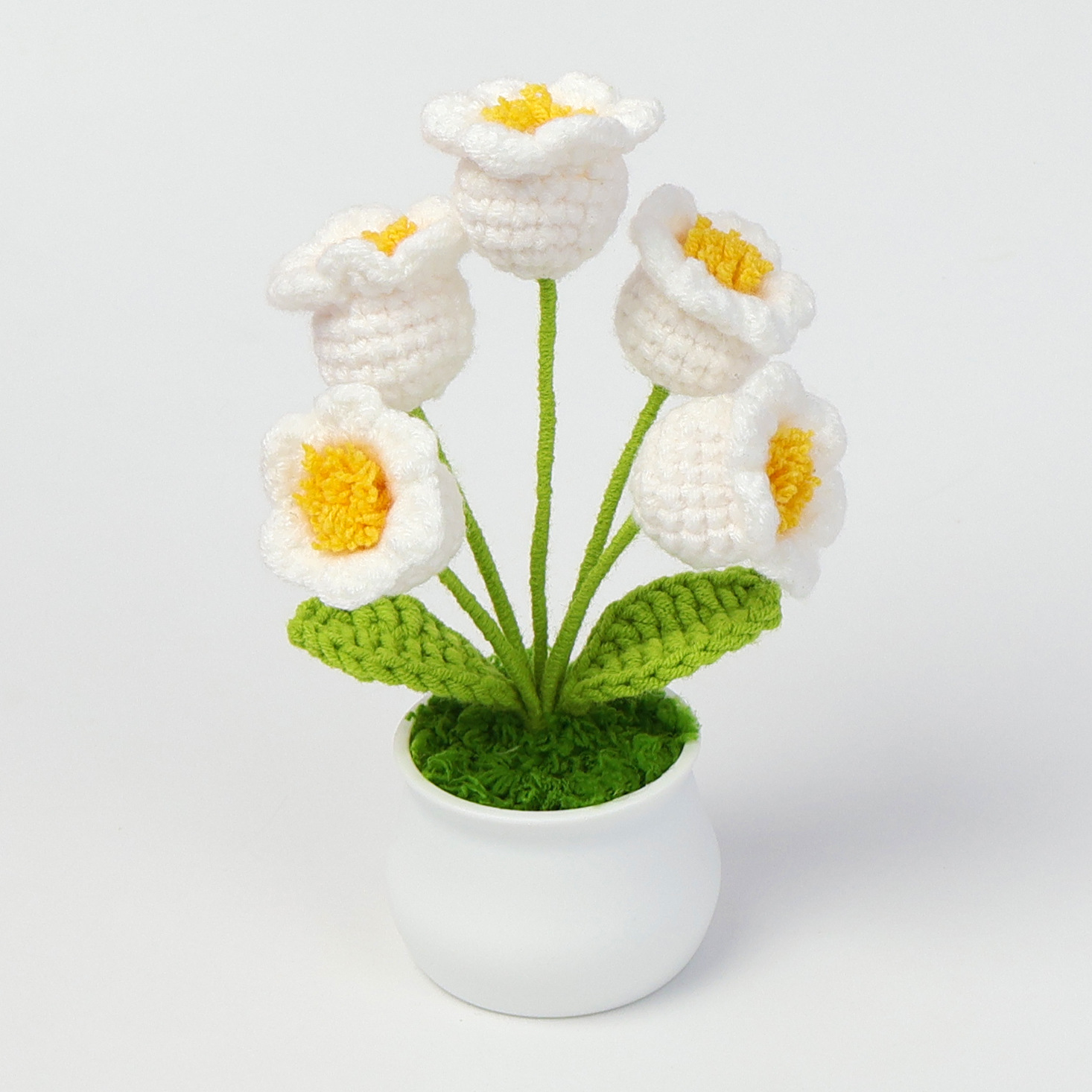 Orquídea blanca (5 cabezas) Pequeña maceta