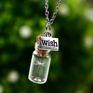 �W�����Q�Ʒ���� �͹� �S�ƿ����Ư��ƿWish�ѹ�Ӣ�ɻ��N����