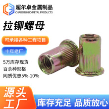 ���Tƽ�^�Q�y�T��ĸ ����M10x1.0�����Ӵ�����ĸ��ñ�A�T��ĸ