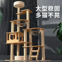 猫爬架猫树猫窝一体猫抓柱猫咪太空舱半圆小猫咪用品猫架大型树屋